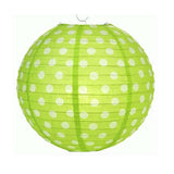 Polka Dots Round Paper Lantern - 12 inches (click for more colors)