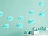 Tissue Pom Garland (click for more colors)