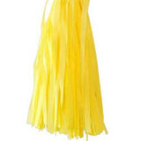 Mix and Match Tissue Tassel Garland Kit (click for more colors)