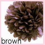 Tissue Pom Poms - 14 inches (click for more colors)