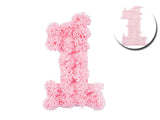 1st Birthday Tissue Wall Decoration (click for more colors)