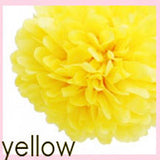 Tissue Pom Poms - 14 inches (click for more colors)